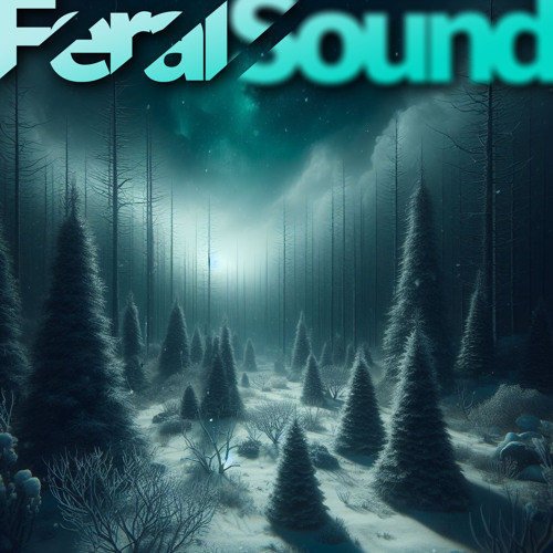 Feral Sound Holiday Special with Niko de Gallo b2b Fox – 29 Dec 2023