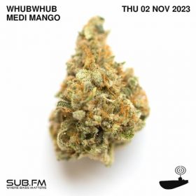 Whubwhub Medi Mango – 02 Nov 2023