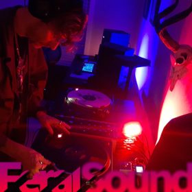 Feral Sound with 88 Katanas and Fox – 07 Jun 2024