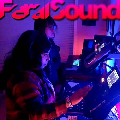 Feral Sound with Low Iron and Nail Salon – 06 Dec 2024