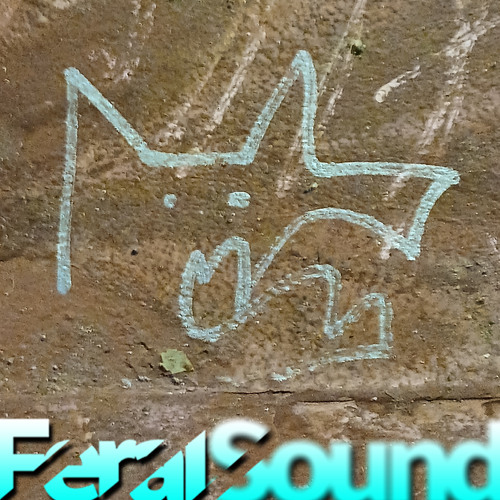 Feral Sound with Fox - 10 Jan 2025