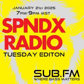 SPNDX RDO – 21 Jan 2025