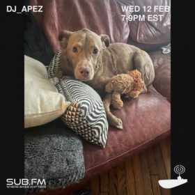 dj_apez – 12 Feb 2025