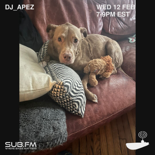 dj_apez - 12 Feb 2025