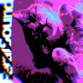 Feral Sound with Fox – 07 Nov 2025